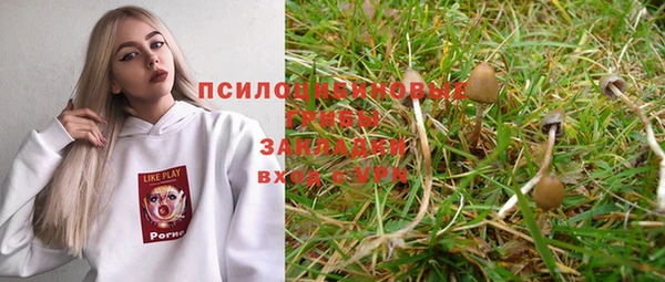ECSTASY Бронницы