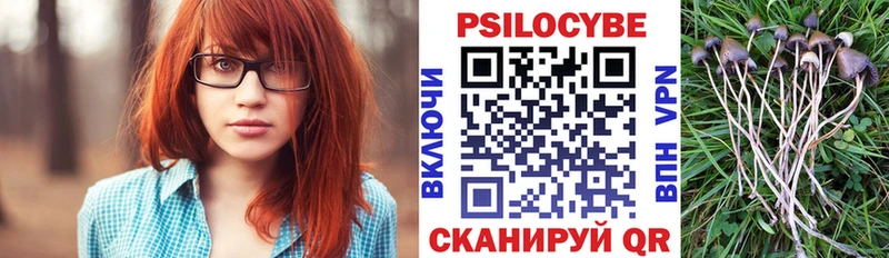 Галлюциногенные грибы прущие грибы  Саранск 